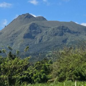 MASAYANGI SEJOUR-(Consultation pour Séjour)