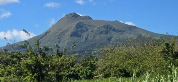 MASAYANGI SEJOUR-(Consultation pour Séjour)
