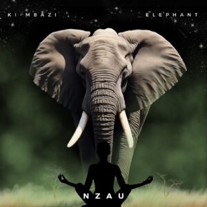 KINKONKO NZAU-45mn