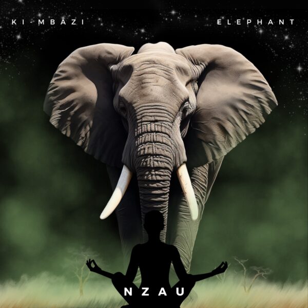 KINKONKO NZAU-45mn